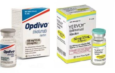 百時美免疫組合Opdivo+YervoyIII期研究更新結果:一線RCC任何免疫組合療法的最長時間!_香港濟民藥業 百時美免疫組合Opdivo+YervoyIII期研究更新結果:一線RCC任何免疫組合療法的最長時間!_香港濟民藥業